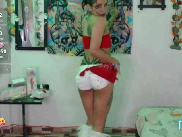 dakkohott webcam