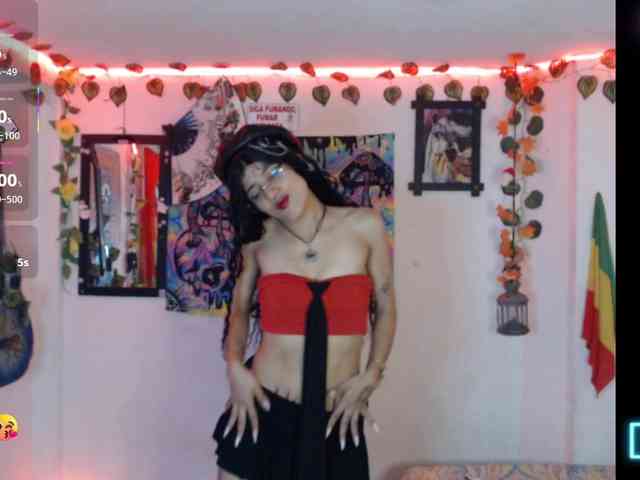 dakkohott webcam