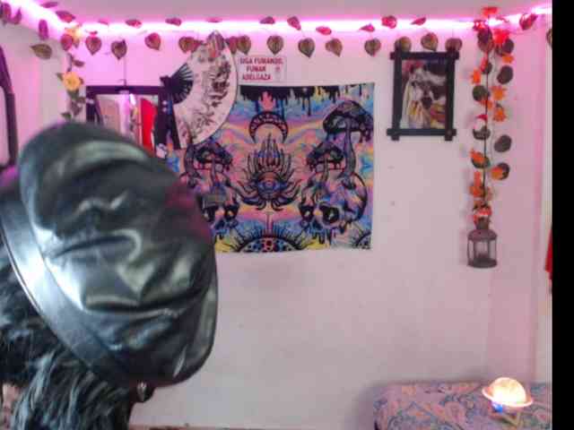 dakkohott webcam