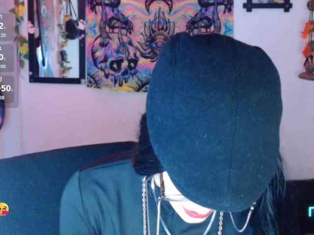 dakkohott webcam