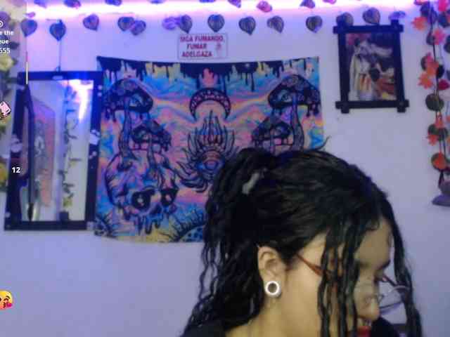 dakkohott webcam