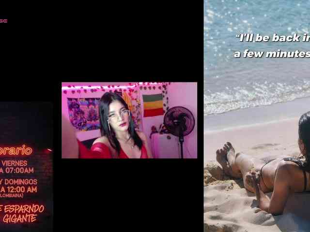 dakkohott webcam