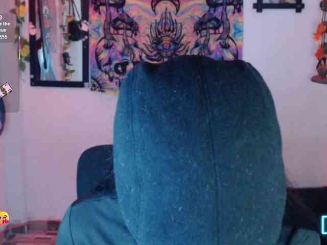dakkohott webcam