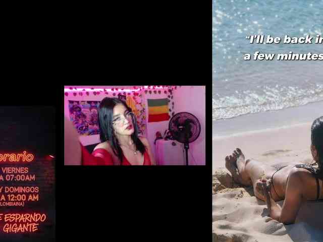 dakkohott webcam