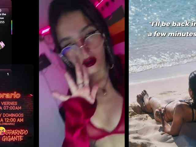 dakkohott webcam