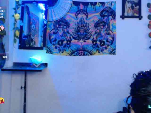 dakkohott webcam