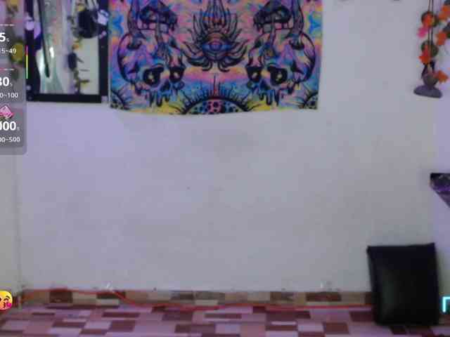 dakkohott webcam