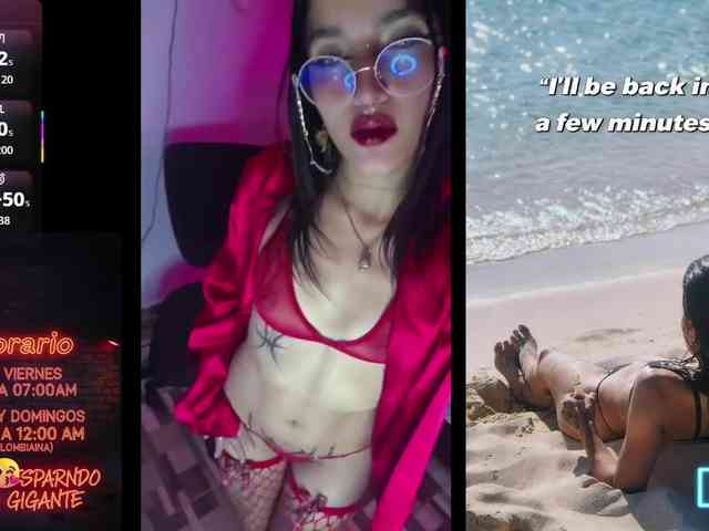 dakkohott webcam