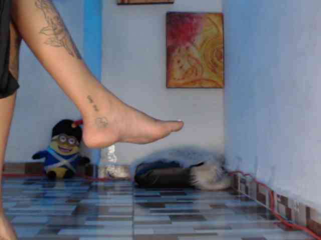 dakkohott webcam