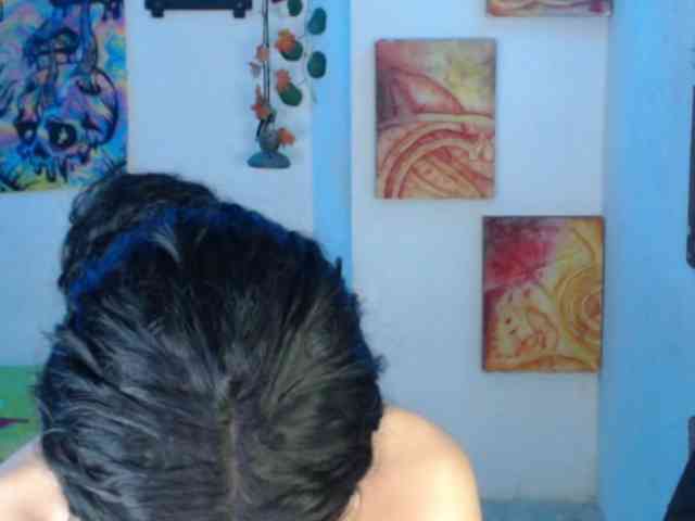 dakkohott webcam