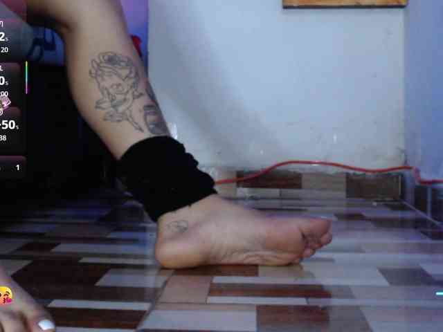 dakkohott webcam