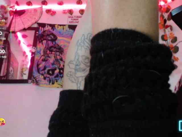 dakkohott webcam