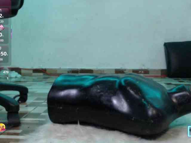 dakkohott webcam