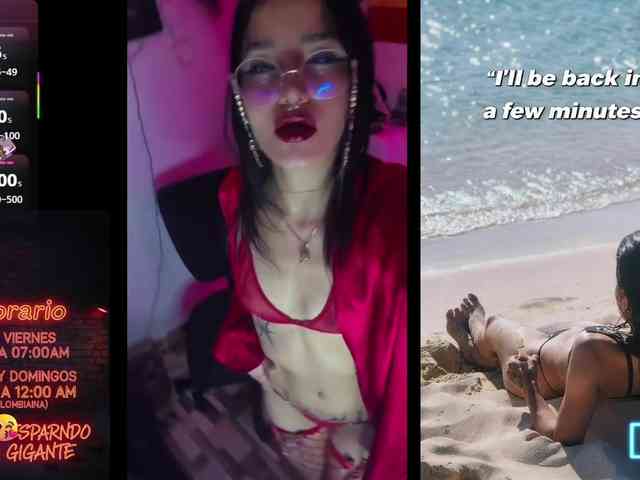 dakkohott webcam