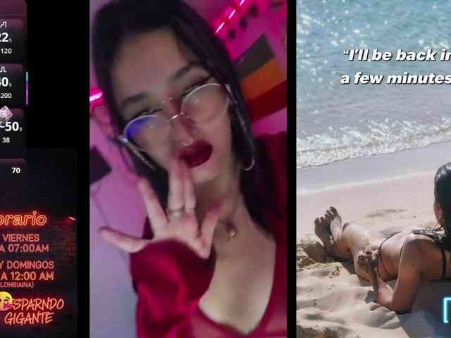 dakkohott webcam