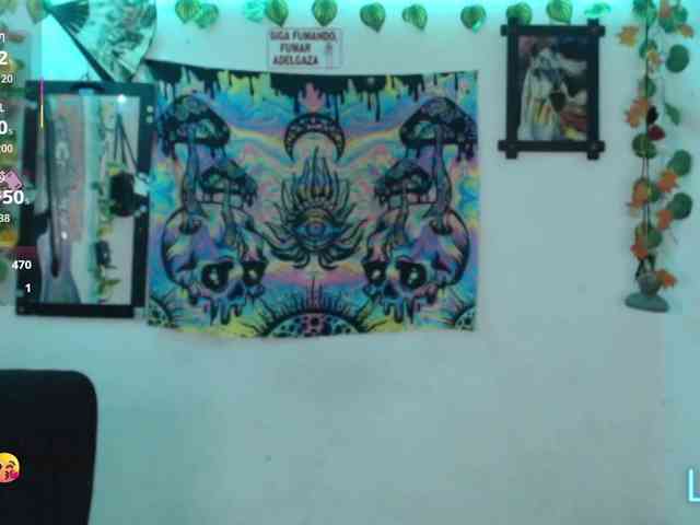 dakkohott webcam