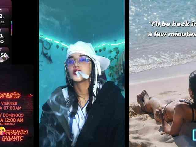 dakkohott webcam