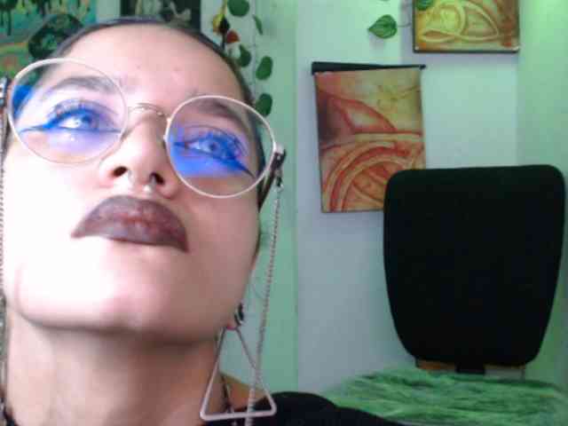 dakkohott webcam