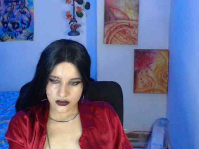 dakkohott webcam