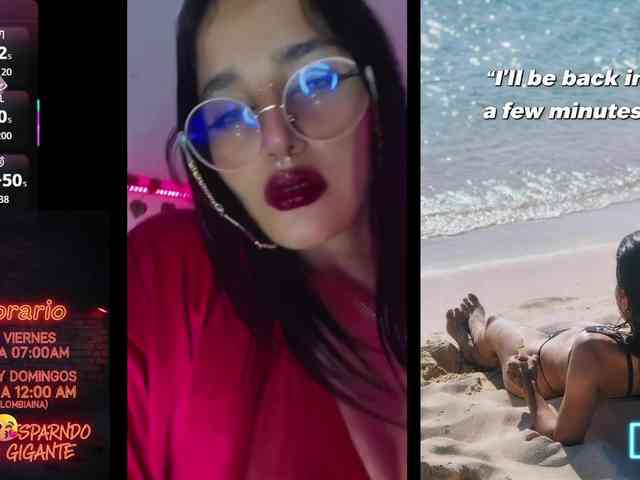 dakkohott webcam