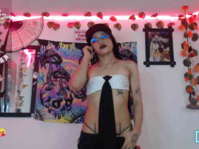 dakkohott webcam