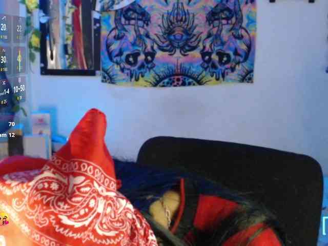 dakkohott webcam