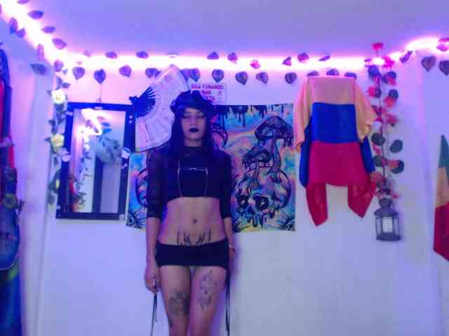 dakkohott webcam