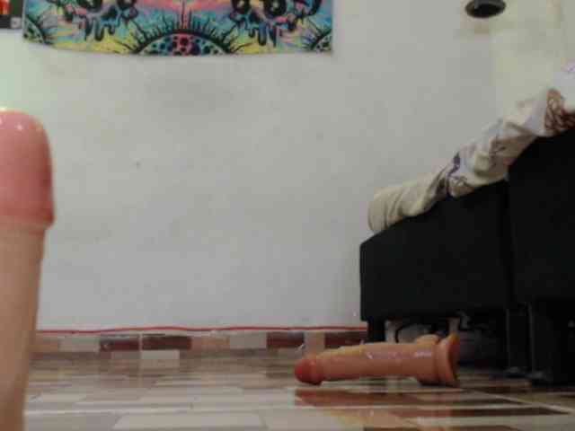 dakkohott webcam