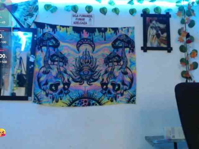 dakkohott webcam