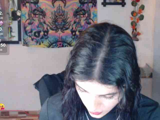 dakkohott webcam