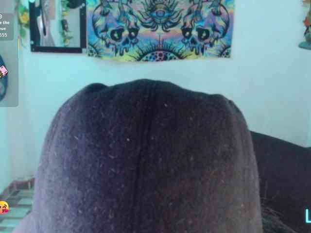 dakkohott webcam