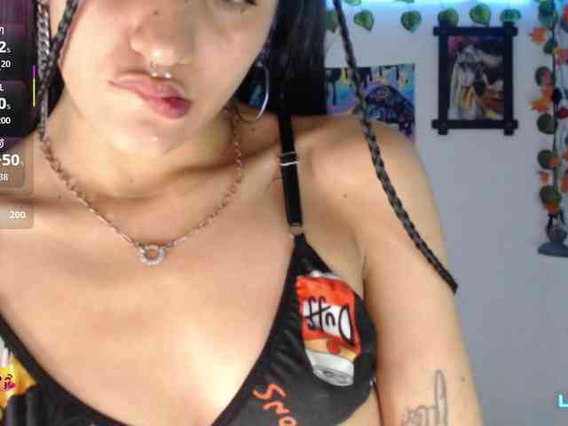 dakkohott webcam