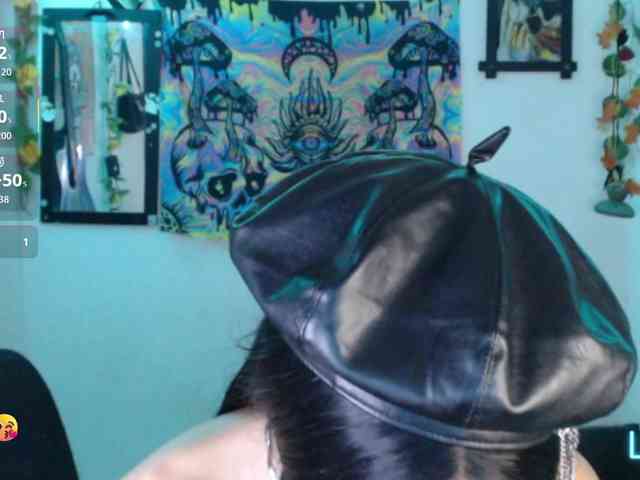 dakkohott webcam