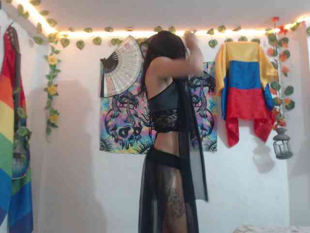 dakkohott webcam