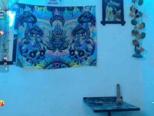 dakkohott webcam