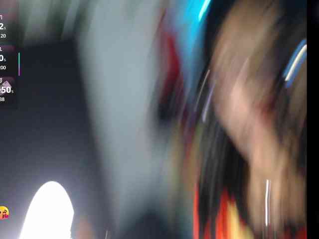 dakkohott webcam