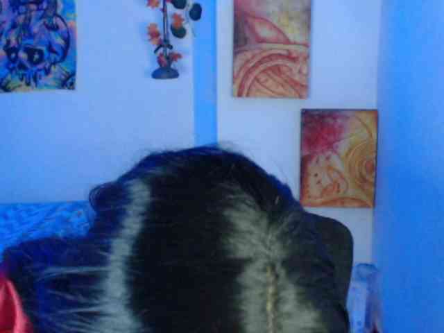 dakkohott webcam