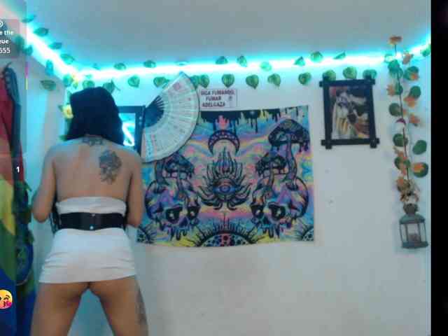 dakkohott webcam