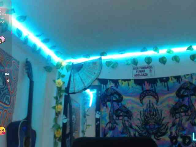 dakkohott webcam