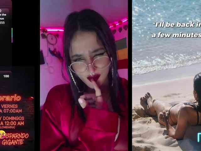 dakkohott webcam