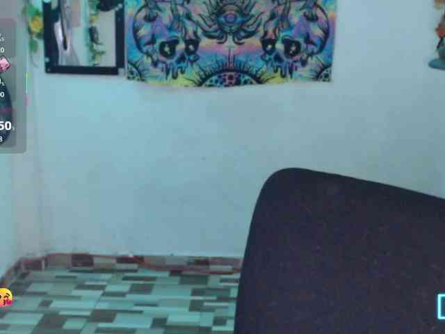 dakkohott webcam