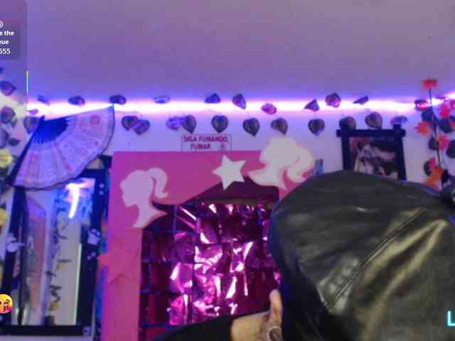 dakkohott webcam