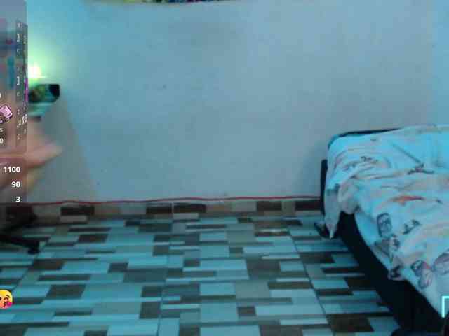 dakkohott webcam