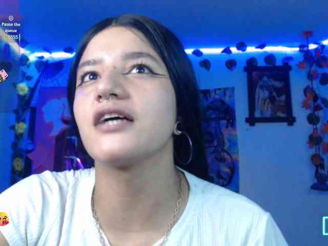 dakkohott webcam