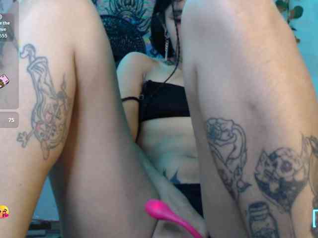 dakkohott webcam