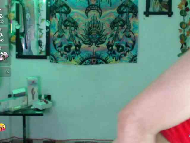 dakkohott webcam