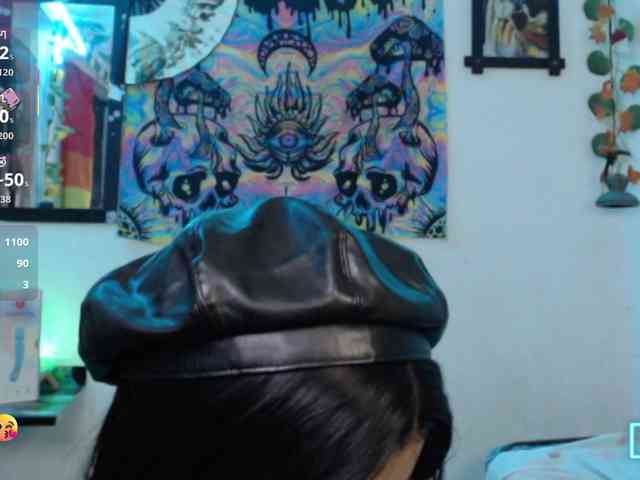 dakkohott webcam