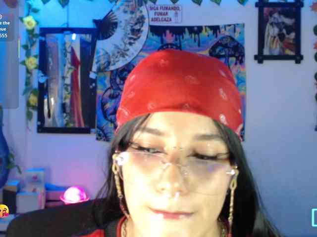 dakkohott webcam