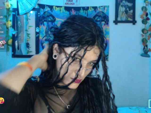 dakkohott webcam