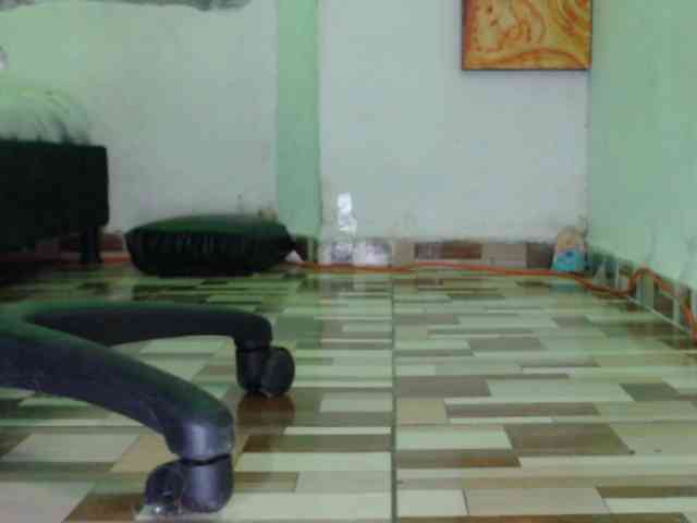 dakkohott webcam